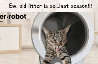 Litter-Robot 4: What To Know Before You Buy