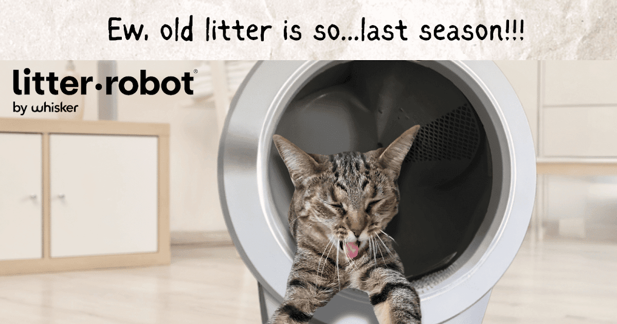 Litter-Robot 4: What To Know Before You Buy Litter-Robot 4: What To Know Before You Buy