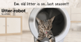 Litter-Robot 4: What To Know Before You Buy